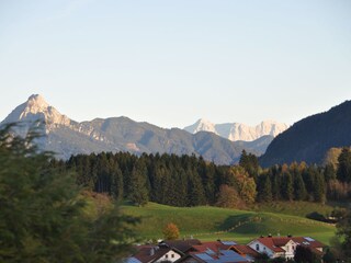 Blick zu Säuling und Zugspitze