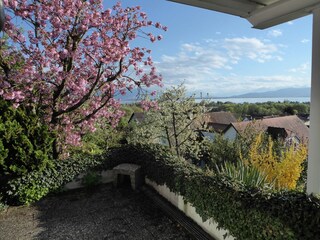 Holiday apartment Lindau am Bodensee Outdoor Recording 12