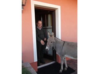 Appartamento per vacanze Patergassen Registrazione all'aperto 5