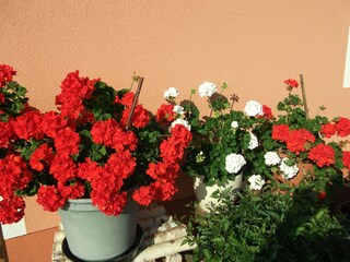 Appartamento per vacanze Patergassen Registrazione all'aperto 8