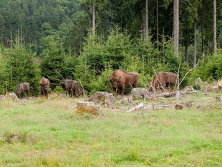 Appartamento Lüdenscheid Ambiente 23