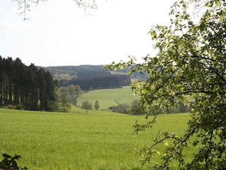 Apartment Lüdenscheid Environment 35