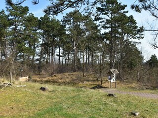 Maison de vacances Bergen aan Zee Environnement 26