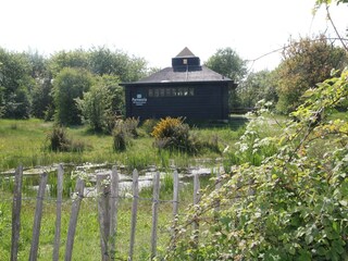 Holiday house Bergen aan Zee Environment 25