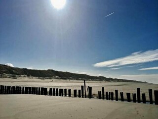 Maison de vacances Bergen aan Zee Environnement 29