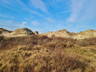 Maison de vacances Bergen aan Zee Environnement 24