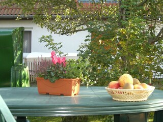 Herbst im "Apfelgarten"