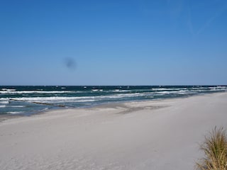 Prerow´s langer Sandstrand
