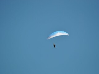 Gleitschirmfliegern von der Terrasse aus zusehen