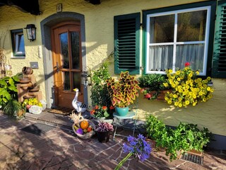 Appartamento per vacanze Schönau am Königssee Registrazione all'aperto 9