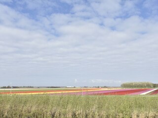 Appartement 't Zand Buitenaudio-opname 5