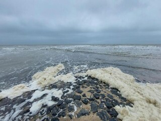 Appartement 't Zand Omgeving 27