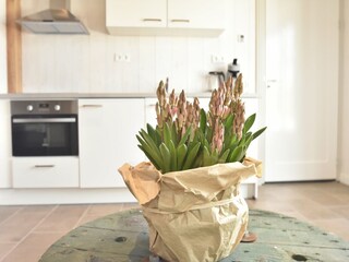 Holiday house 't Zand  21