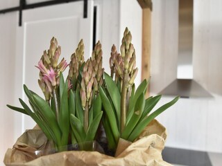 Holiday house 't Zand  40