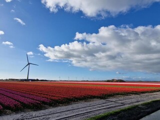 Vakantiehuis 't Zand Omgeving 17