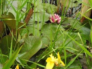 Holiday house 't Zand Environment 16