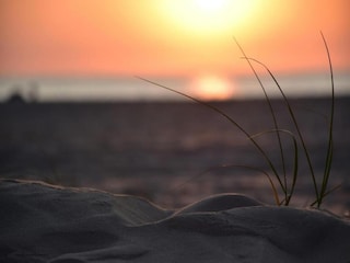 Holiday house 't Zand Environment 31