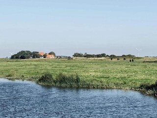 Casa per le vacanze 't Zand Ambiente 22