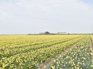 Vakantiehuis 't Zand Buitenaudio-opname 3