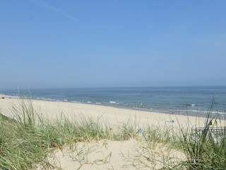 Vakantiehuis 't Zand Omgeving 33