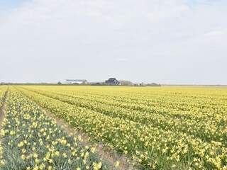 Vakantiehuis 't Zand Omgeving 30