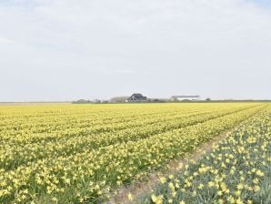 Vakantiehuis Familiehuis Hazenborgh aan de Noord-Hollandse kust - 't Zand - image1