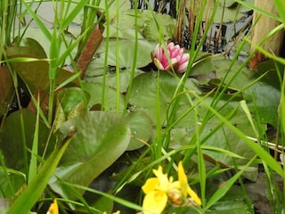 Appartement 't Zand Environnement 18