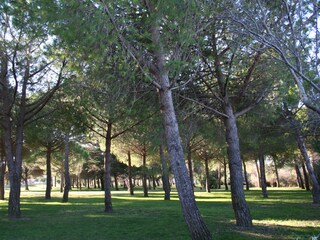 Casa per le vacanze Gruissan Ambiente 21