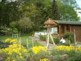 Garden with swimming pool