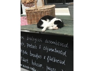 Casa per le vacanze Bruinisse Ambiente 23