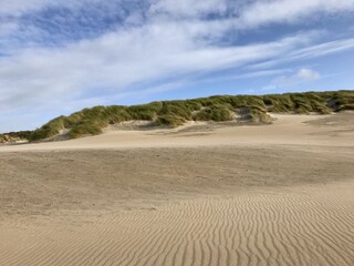 Casa per le vacanze Bruinisse Ambiente 25