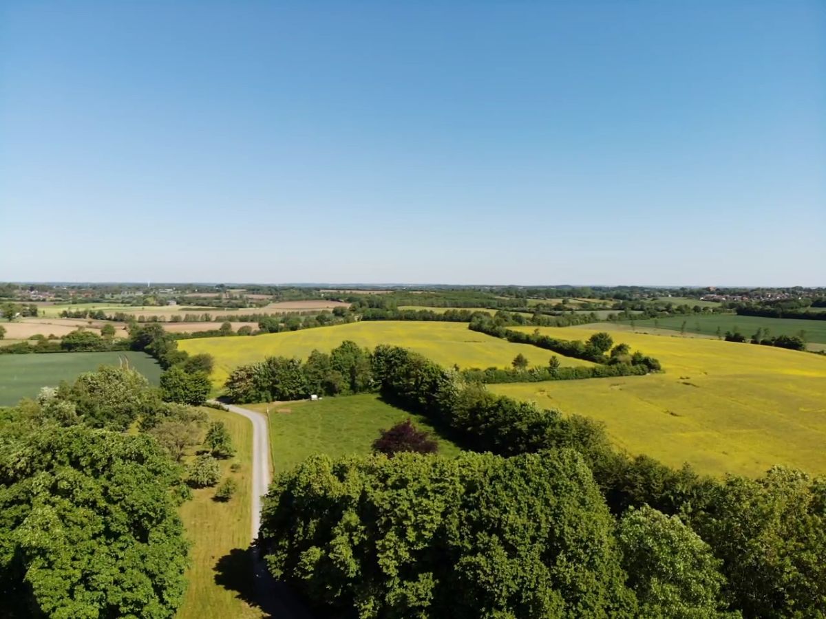 Der parkähnliche Garten (13000m²) und seine Umgebung.