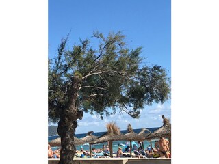 Appartamento per vacanze Cala Millor Ambiente 28