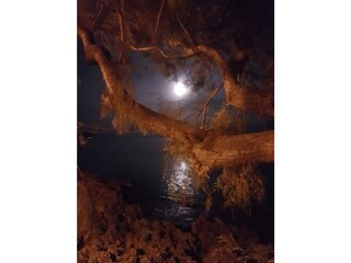 Appartamento per vacanze Cala Millor Ambiente 30