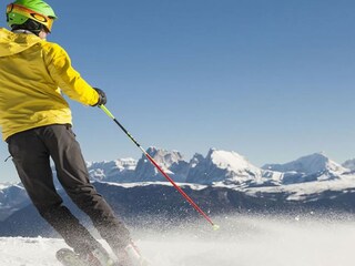 Appartamento per vacanze Ritten Ambiente 17