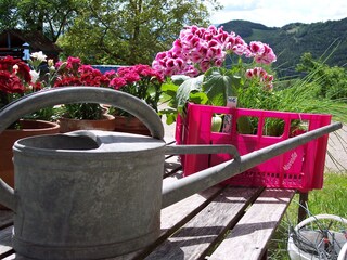 Vakantieappartement Ritten Buitenaudio-opname 6
