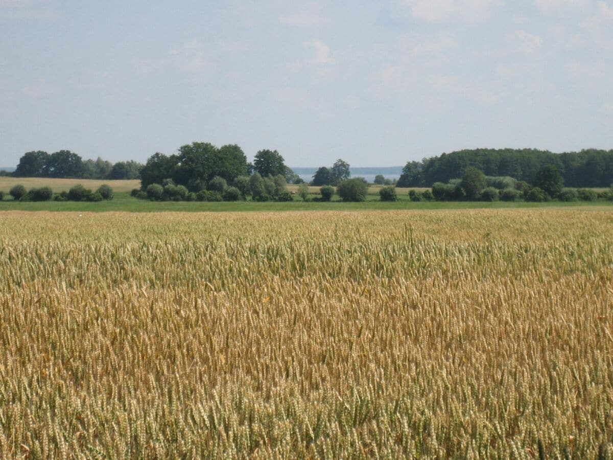 Blick auf die Müritz