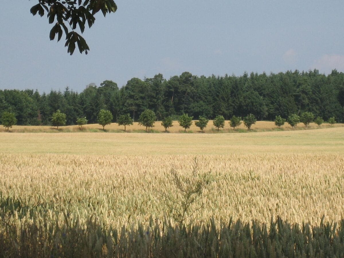 Wander- und Fahrradweg