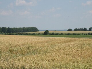 Ferienwohnung Ludorf  14