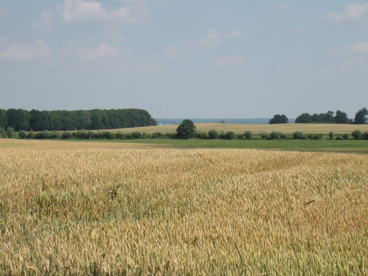 Ferienwohnung Ludorf Umgebung 14