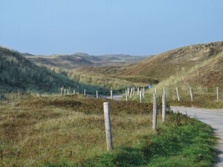 Dünen von Julianadorp aan Zee