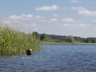 Ferienhaus Lohmen in Mecklenburg Umgebung 19