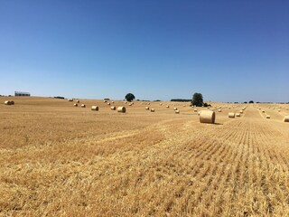 Casa de vacaciones Lohmen in Mecklenburg Entorno 20