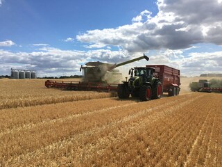 Vakantiehuis Lohmen in Mecklenburg Omgeving 21