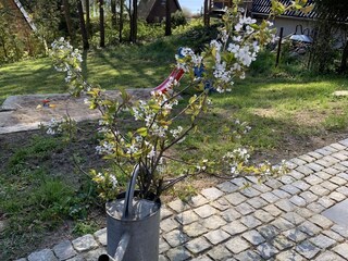 Casa per le vacanze Lohmen in Mecklenburg Registrazione all'aperto 3