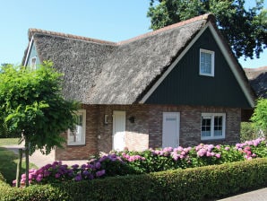 Villa Lachmöwe mit Sauna - Sint Maartensvlotbrug - image1