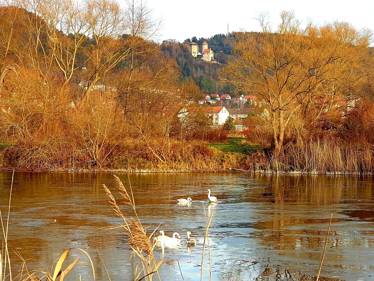 Werraaue, Naturschutzgebiet Treffurt