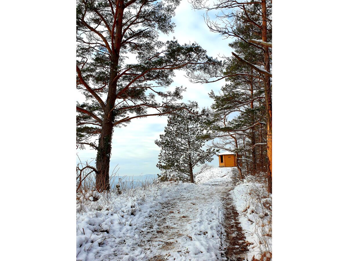 Adolfsburg, schöne Aussicht auf Treffurt  und Umgebung