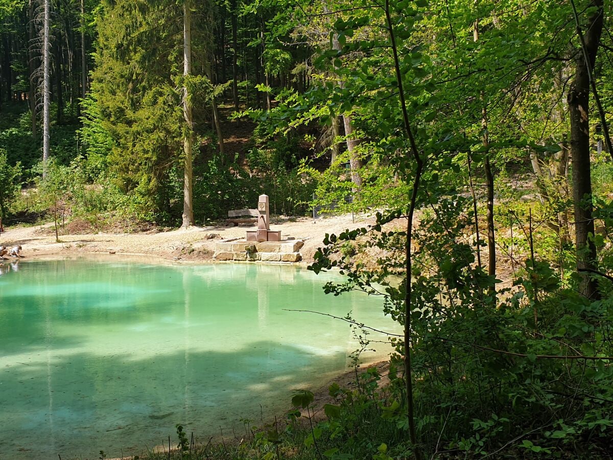 Kleiner Waldsee, Nähe Treffurt.