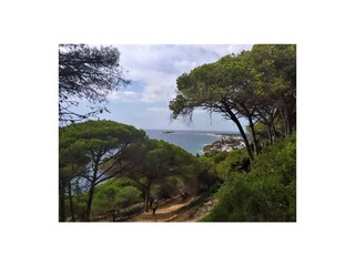 Casa per le vacanze El Colorado Ambiente 32